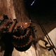 Illustration for article titled Inside the Caverns of Hungarys Abandoned Underground Coal Plant